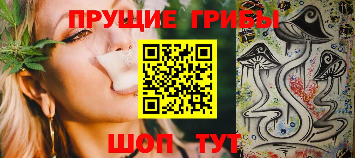 Кириши  Псилоцибиновые грибы ЛСД  Вход с VPN 