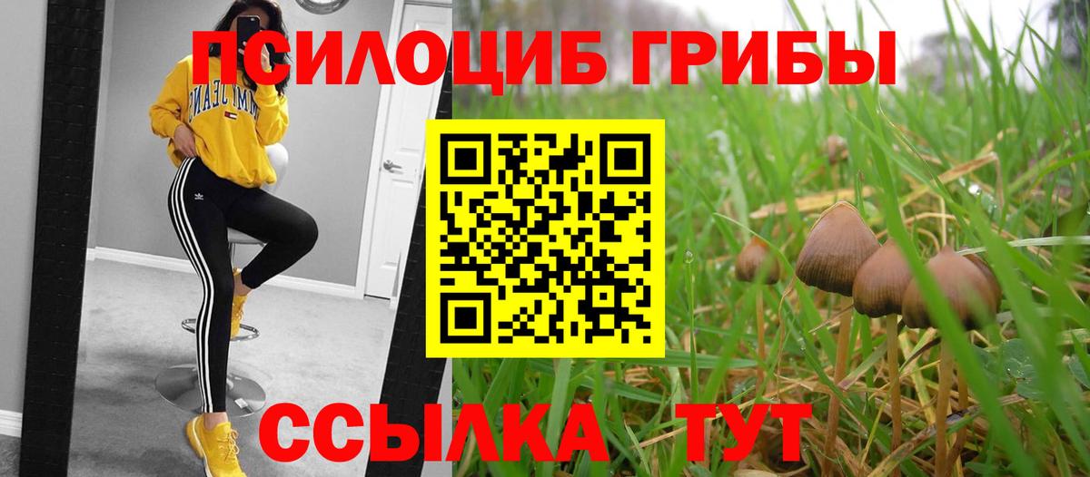 Псилоцибиновые грибы MAGIC MUSHROOMS Кириши