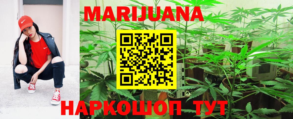 Кириши  Канабис планчик  Вход с VPN  Шишки марихуана индика 